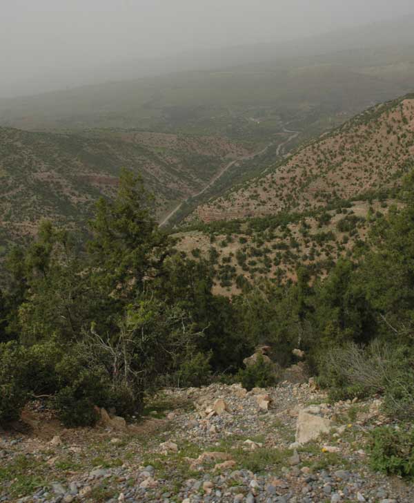 Uitzicht van Daan tijdens de rit naar Ouzoud.